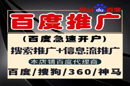 企业案例：SEM推广代运营成果展示